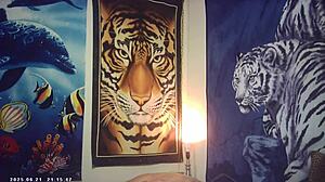 behind the scenes of porn shoot maxxx loadz stroking