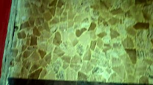 Wife Flashes Without Panties In Bar And Gets Fucked Hard By Well-Endowed Stranger In Bathroom