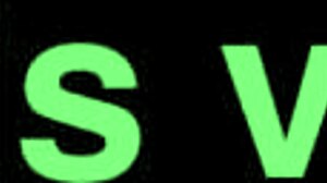 Dallas Escort Petite 18+ Bossbitch Arranges Tryst Via P411