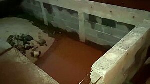 she arrived at the construction site, offered her ass to seal the deal, and i took it.