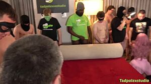 Massive Orgy Fuck Party Girls Suck Fuck Cum