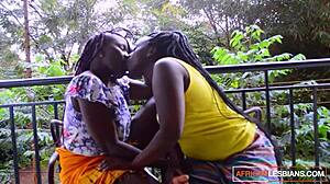 Amateur Lesbians Rubbing Clits