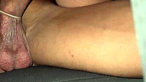 Um F� Encontrou Belinha Vendo A Live E Conversou Com Ela