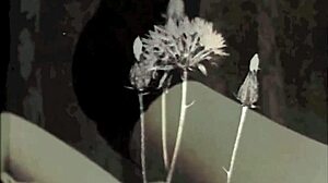 Vintage Dark Lantern London Interracial Taboo