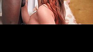 seek peek entwined desires