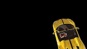 Loud Bondage Blowjob Chronicles