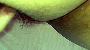 Hairy pussy amateurs explore big beaver fun.