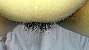 Hairy pussy amateurs explore big beaver fun.