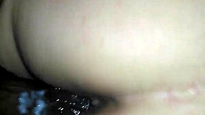 Big Black Cock Monster Teases in Vid?