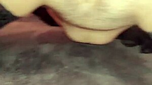 personal video featuring intimate moments with wife