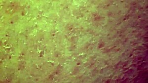 Masturbating with Dildo for First Time as Curvy Amateur