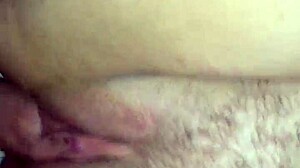 my amature wife with hariy pussy got creampied