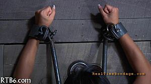 Sexy Villein Delights With Oral Sex