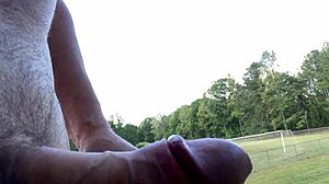 Check out Clitlicker662's update 10 featuring images from October 4, 2024