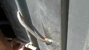 Tia Cachonda Me Regala El Ultimo Celular Que Salio Y En Agradecimiento La Penetro En Cuatro