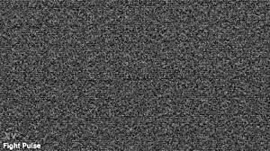 Real Mixed Wrestling Mx-38 By Fight Pulse