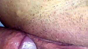 my amature wife with hariy pussy got creampied