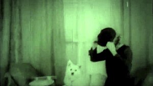 Dark Lantern Entertainment Presents Classic Beauty And The Beast