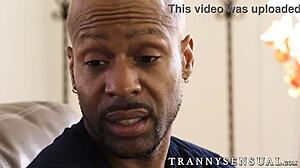 amazing shemale babe casey kisses and makes love to bbc stud