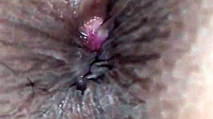 Cumming For Open Ass Of Hot Young Brunette Slut