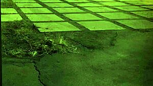 Trampling domination! Unless you're from the sixties and dig that