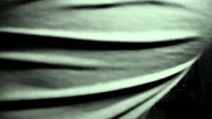 Winter Highlights And Twitter Shorts