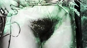 Dark Lantern Entertainment Presents Classic Beauty And The Beast