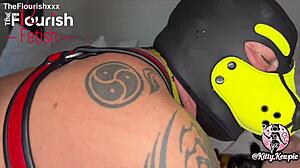 fetlife kitty kewpie pegs bad pup ash in chi-town on flourish fetish