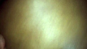 Cheezytrue delivers high-quality videos with a focus on entertainment and creativity