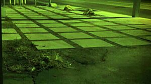 Trampling domination! Unless you're from the sixties and dig that