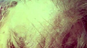 Hot milf just sucking some monster cock