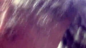 brazilian shemale performs rapid oral quickie in car 🚗💦