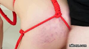 Spicy Kitten Brought to Butthole Asylum for Painful Therapy