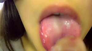amateur blowjob close up