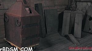 Marvelous Hottie Ready To Strip Naked On Cam!