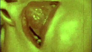 Vintage Pornography Challenge 1860s Vs 1960s