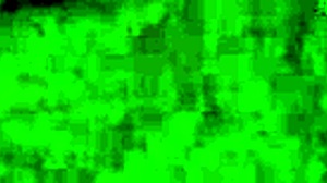 Blonde Teen With Big Ass Poses