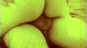 Vintage Pornography Challenge 1860s Vs 1960s