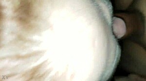 Girl Sucks Daddy's Cock Boldly