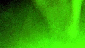 suck my dick slut...