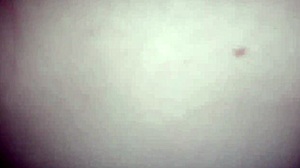 Mi Hermanastra Culona Argentina Me Da Sentones En Mi Verga Gorda Y Larga