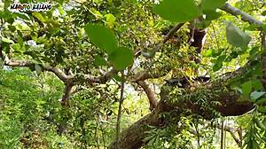 Vivendo com adão e eva anal intenso