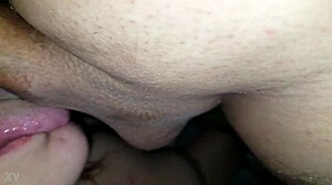 Girl Sucks Daddy's Cock Boldly