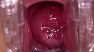 Would you smash or pass my wet shaved pussy?