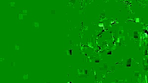 Suck My Pretty Little 18+ Pink Toes