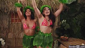 A castaway washes up on a shemale island where they are all horny