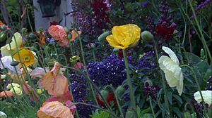 Phoebe and Vanessa Lynn, two 18-year-old friends, share a fun double blowjob experience.