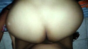 the zorra of america latina dmrs-f