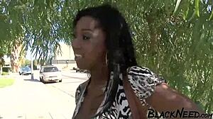 black amateur enjoys the doggystyle position with a bbc