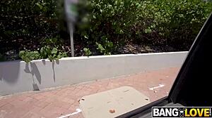 broke student, want to trade that tight hole for cash in a wild bangbus hookup?